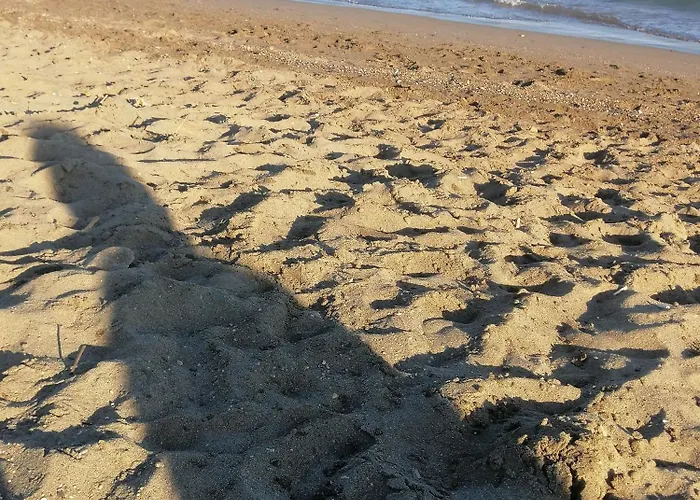 Anamua فندق Eskiomerler